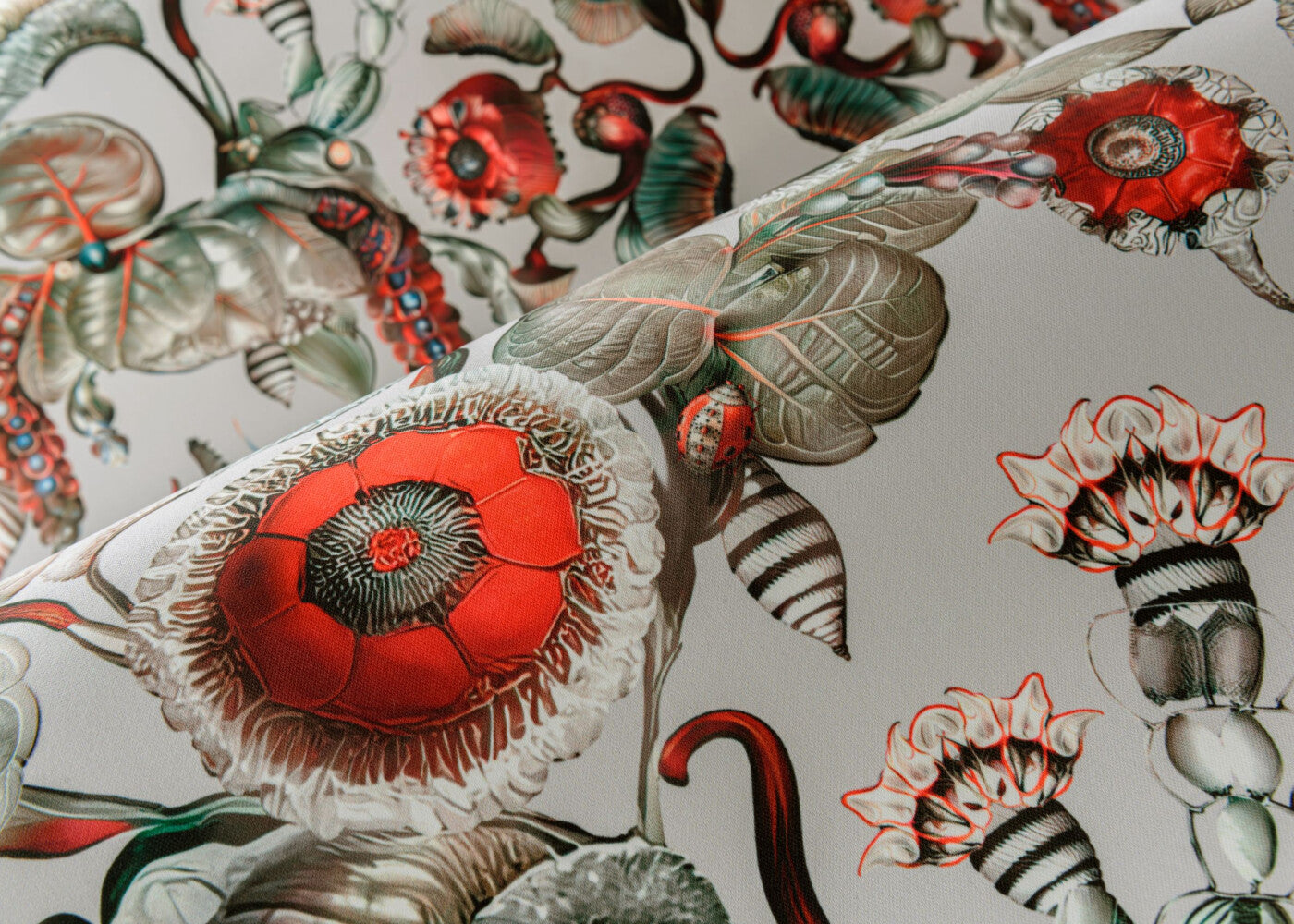MoooiWallcoveringGreenHouse_CoccinellaBella_MO5000_Mood_Web_LR-hero