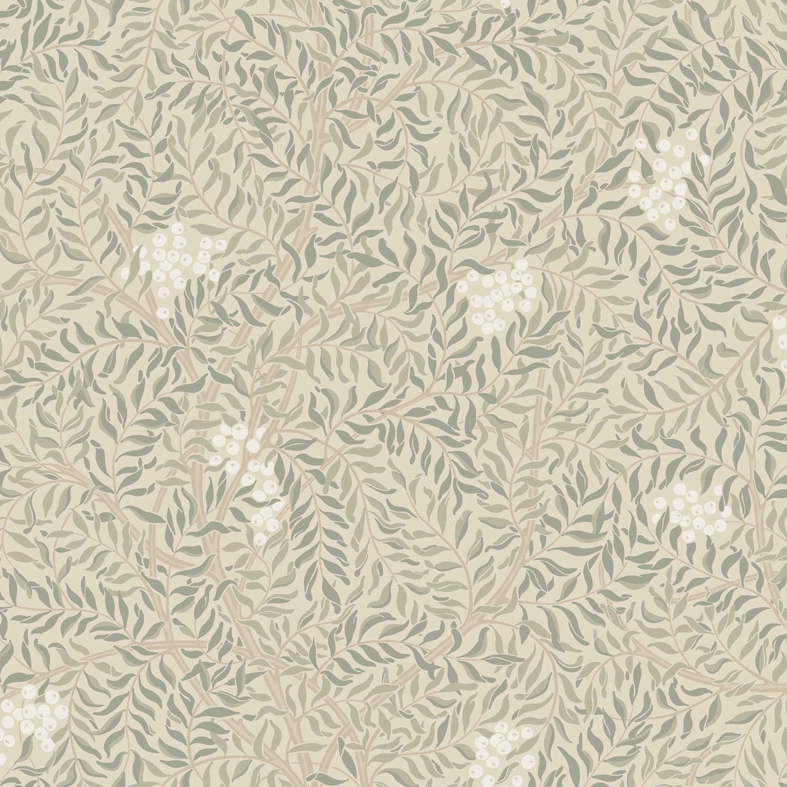 S10497 product