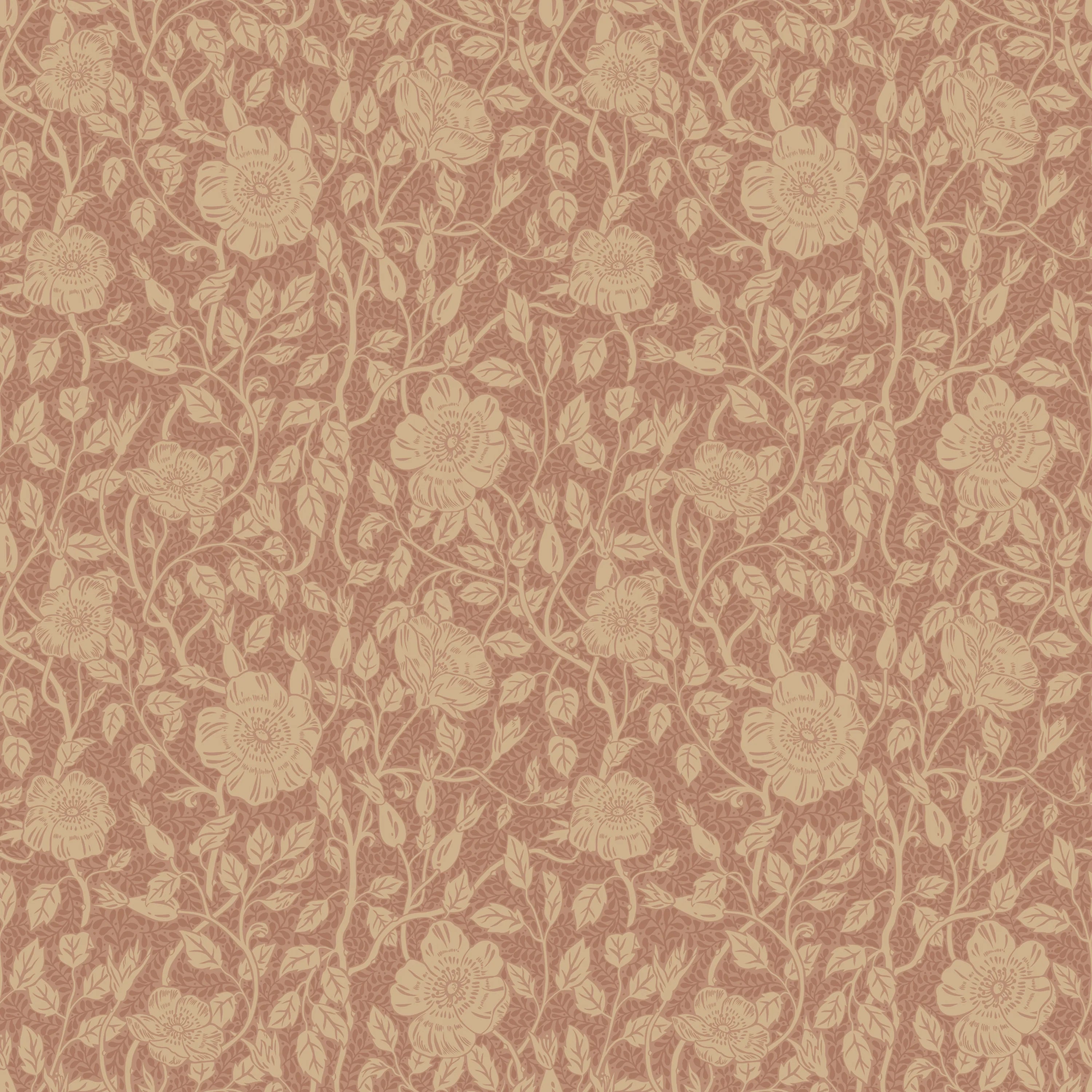 S10568 product