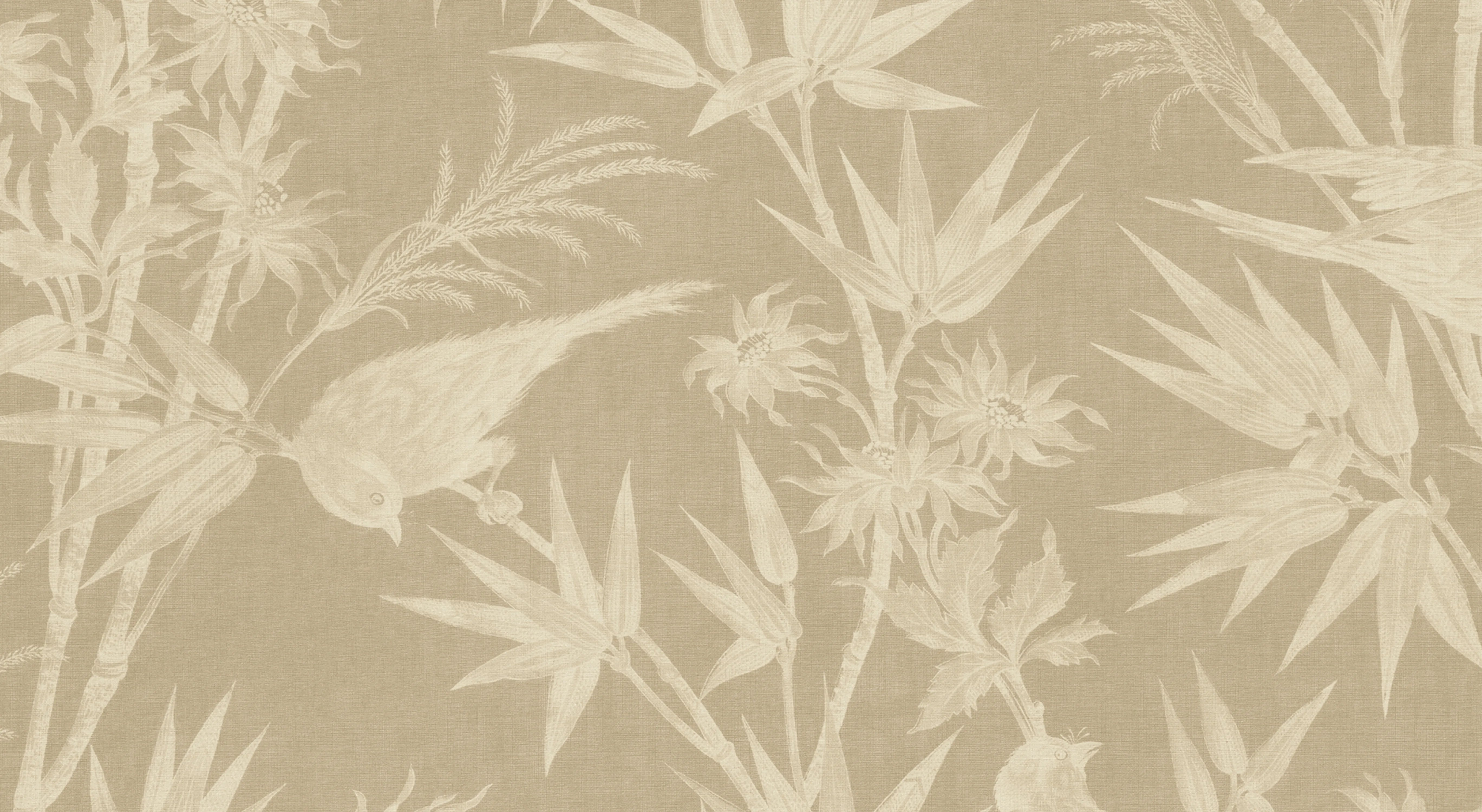 S10596 product