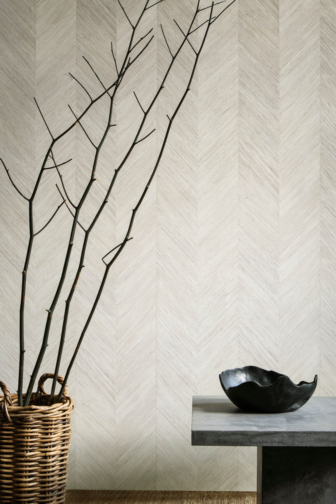 Selva_Corteza_34203-medium-two-thirds