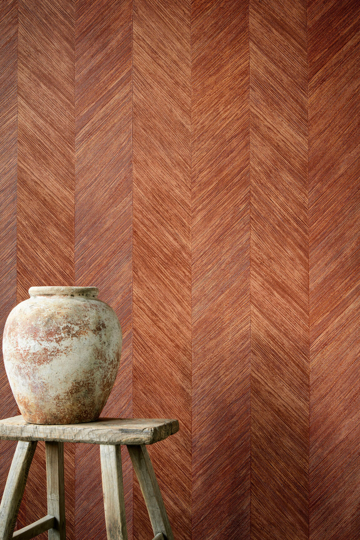 Selva_Corteza_34204-medium-two-thirds