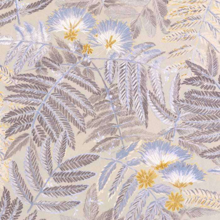 BOTANICA BOTANICA ALBIZIA