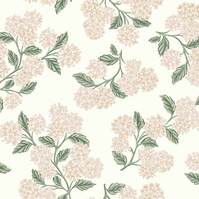 RIFLE PAPER CO. SECOND EDITION HYDRANGEA WALLPAPER