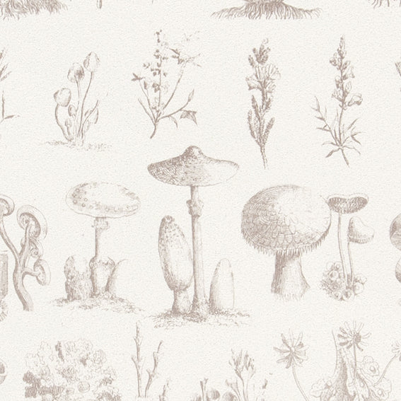 giay dan tuong nhat ban