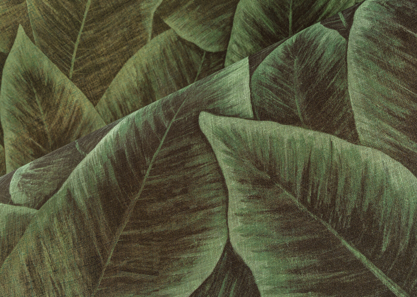 DécorsPanoramiques_Birdofparadise_97572_Mood_Web_LR-hero