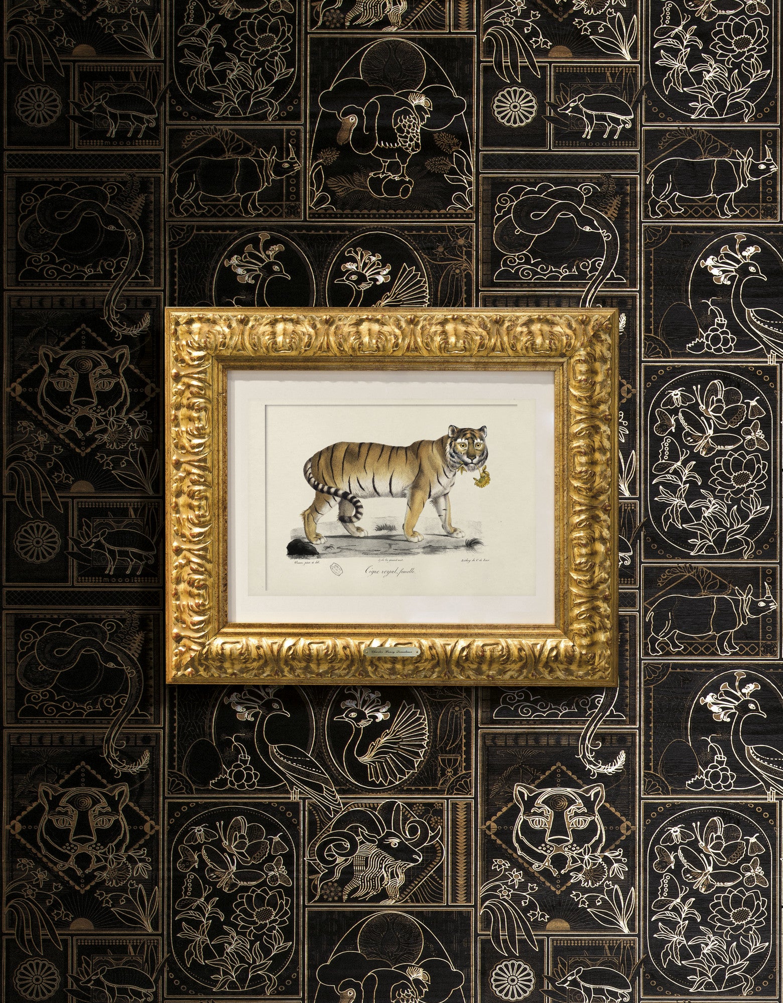 GoldenTiger-fullscreen
