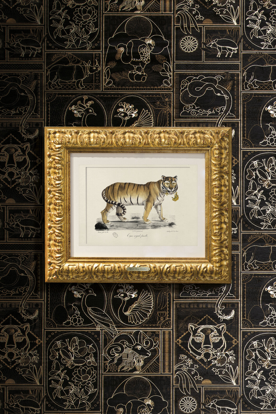 GoldenTiger-medium-two-thirds