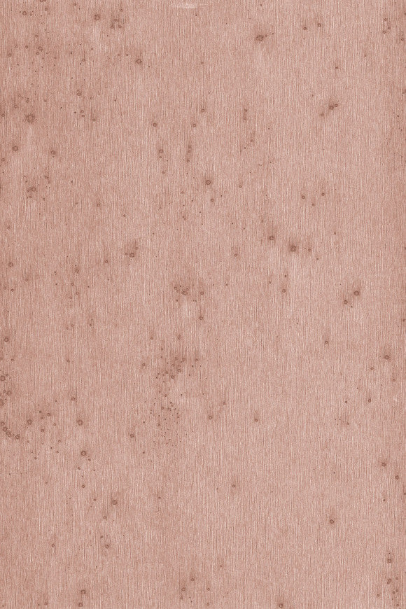 Lush_Stellar_37503A_P-thumb-two-thirds
