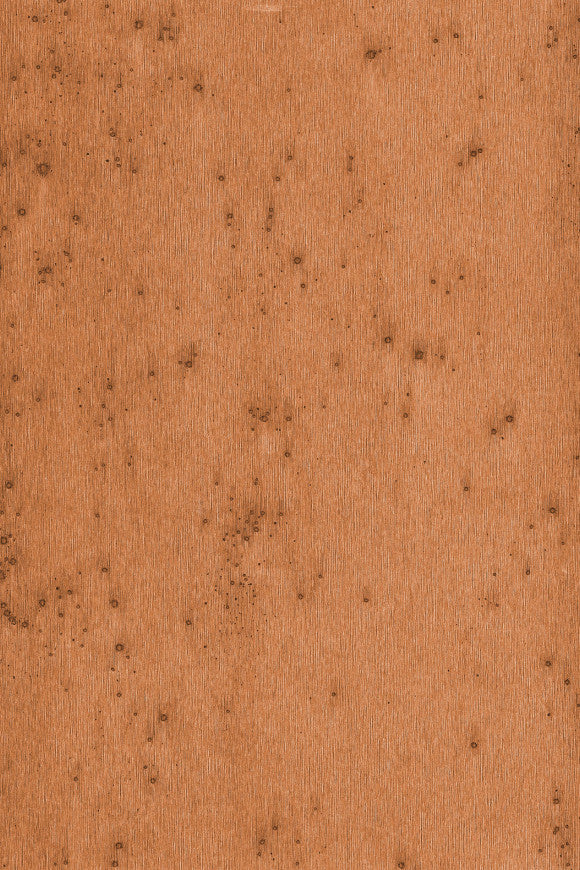 Lush_Stellar_37523A_P-thumb-two-thirds