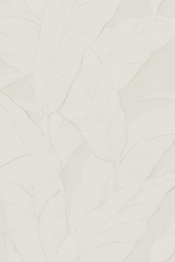 Monsoon_Musa_75001_Packshot_Web_LR-thumb-two-thirds