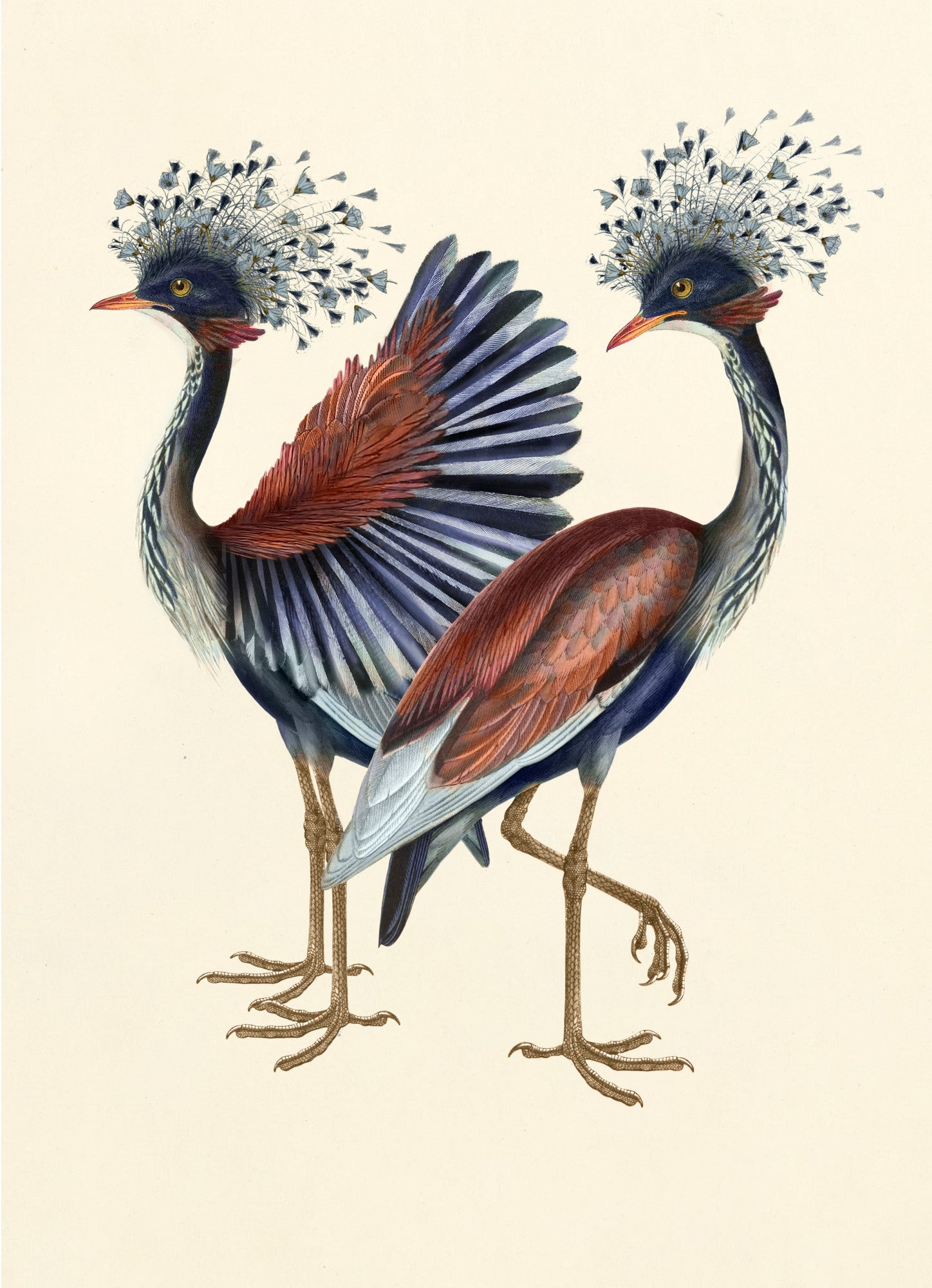 Moooi_CRANE-fullscreen