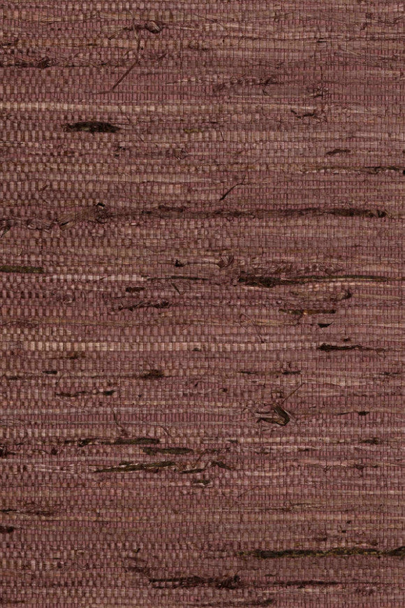 Osmanthus_Kudzu_54535_Packshot_Web_LR-thumb-two-thirds