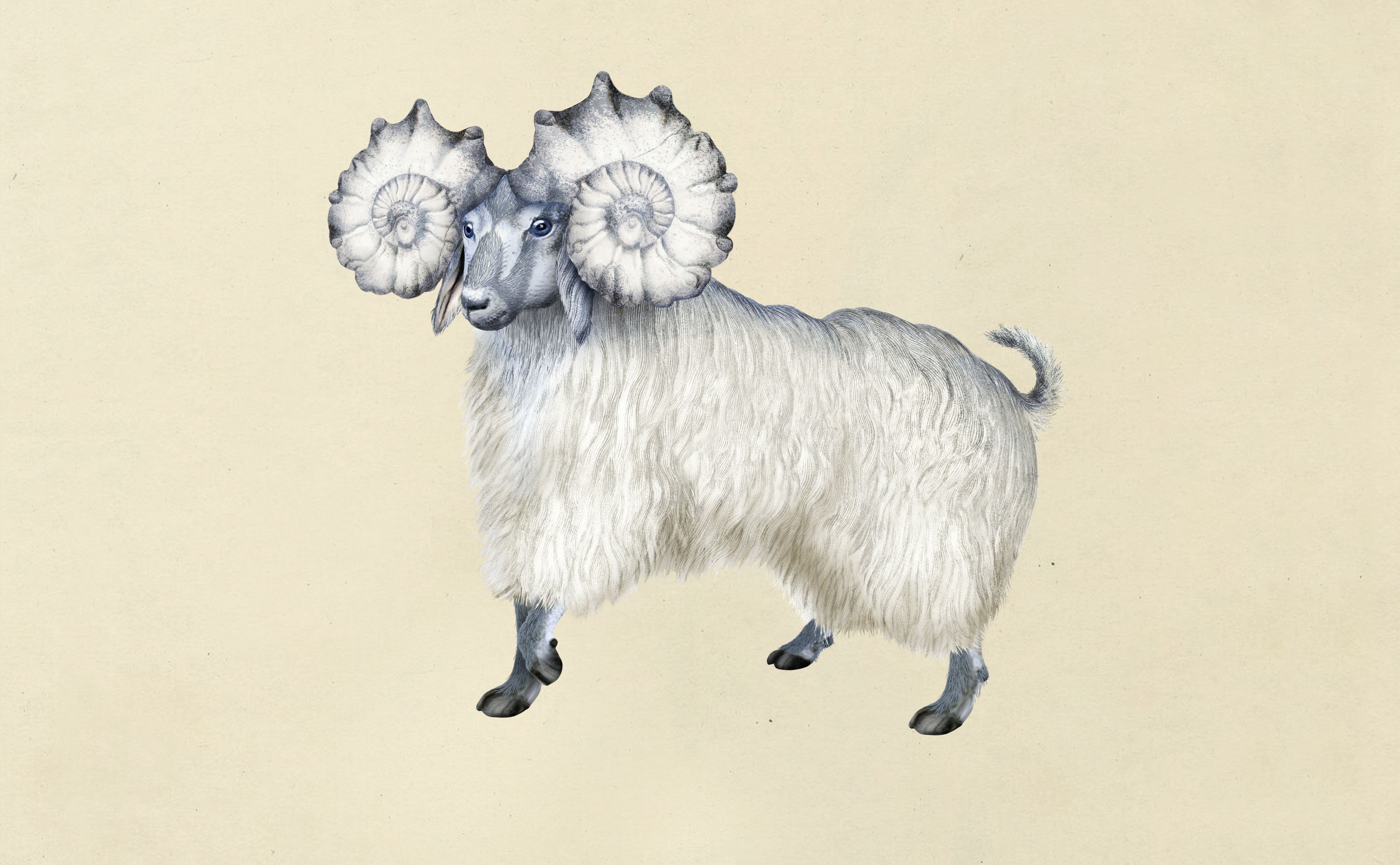 PogoGoat_LR_1-fullscreen