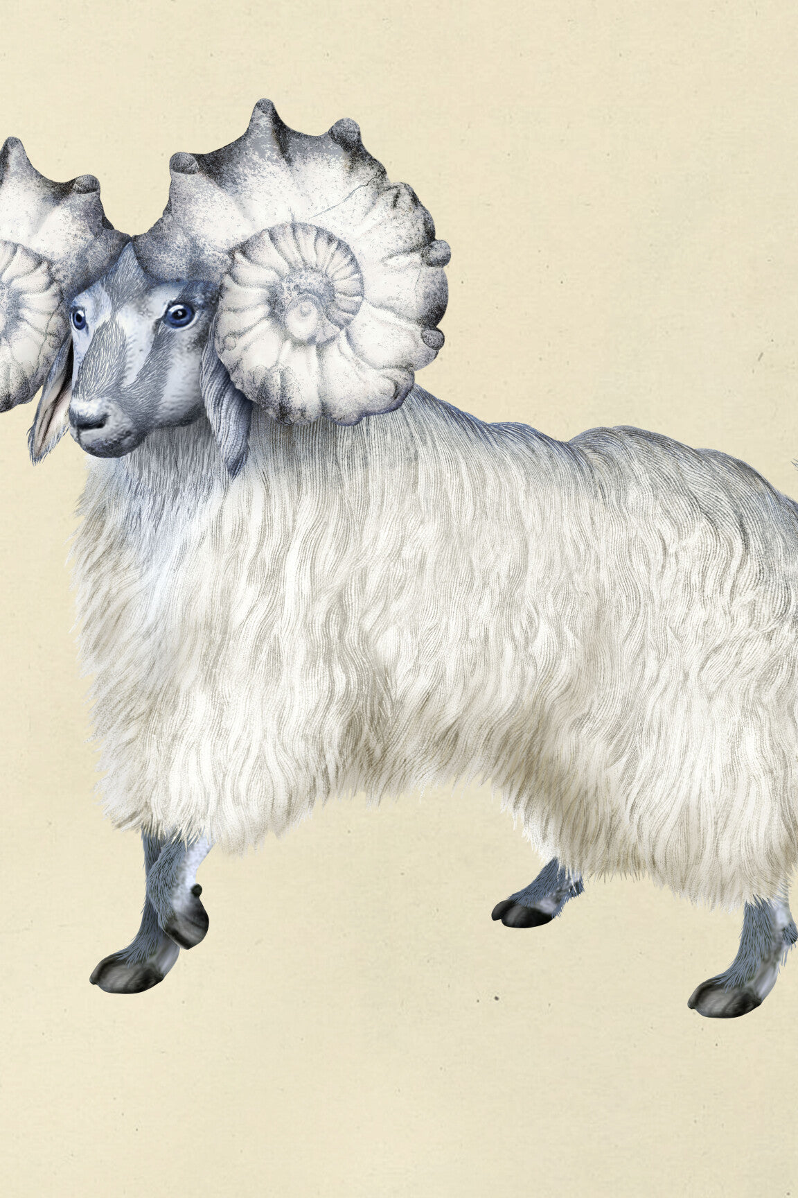 PogoGoat_LR_1-medium-two-thirds