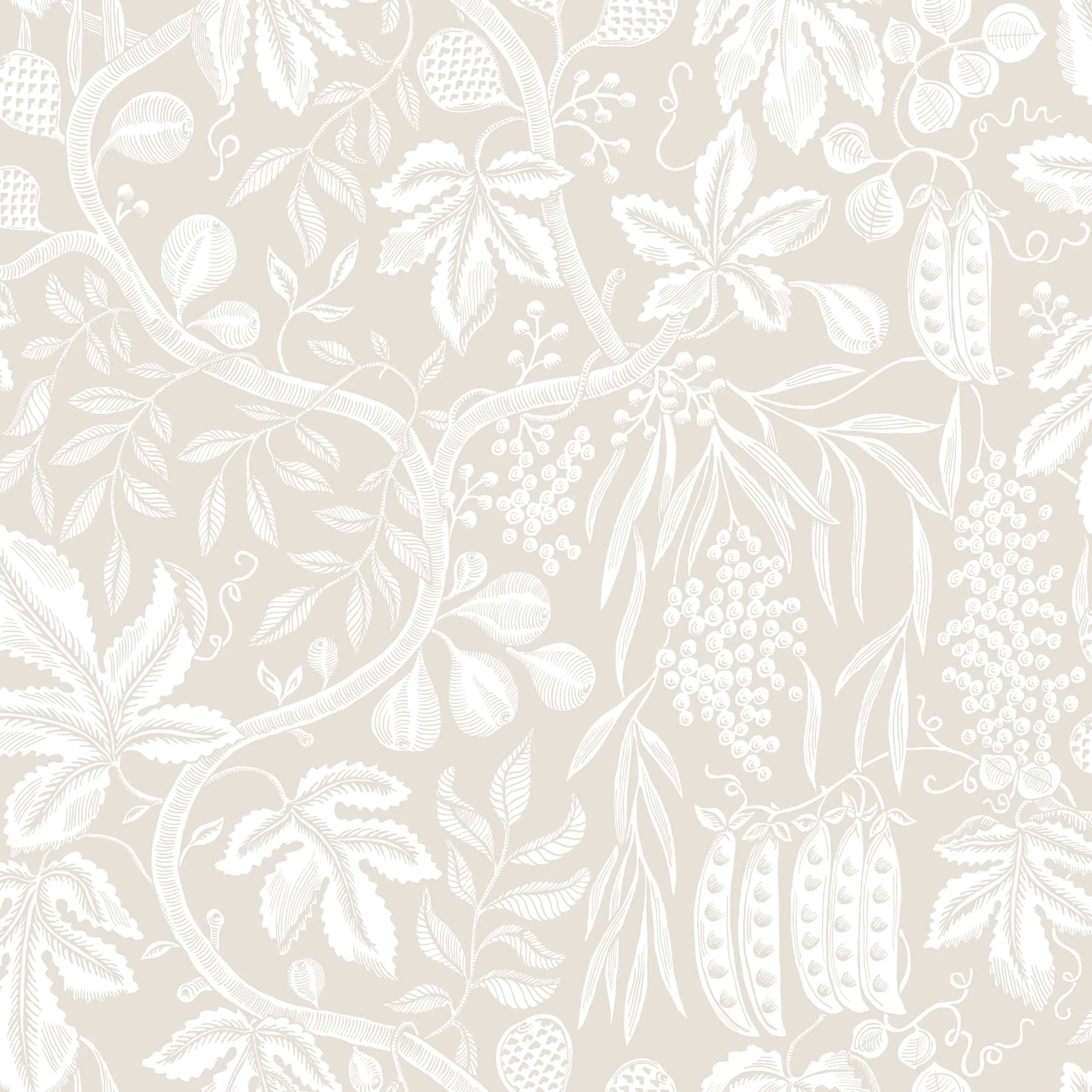 S10258 product