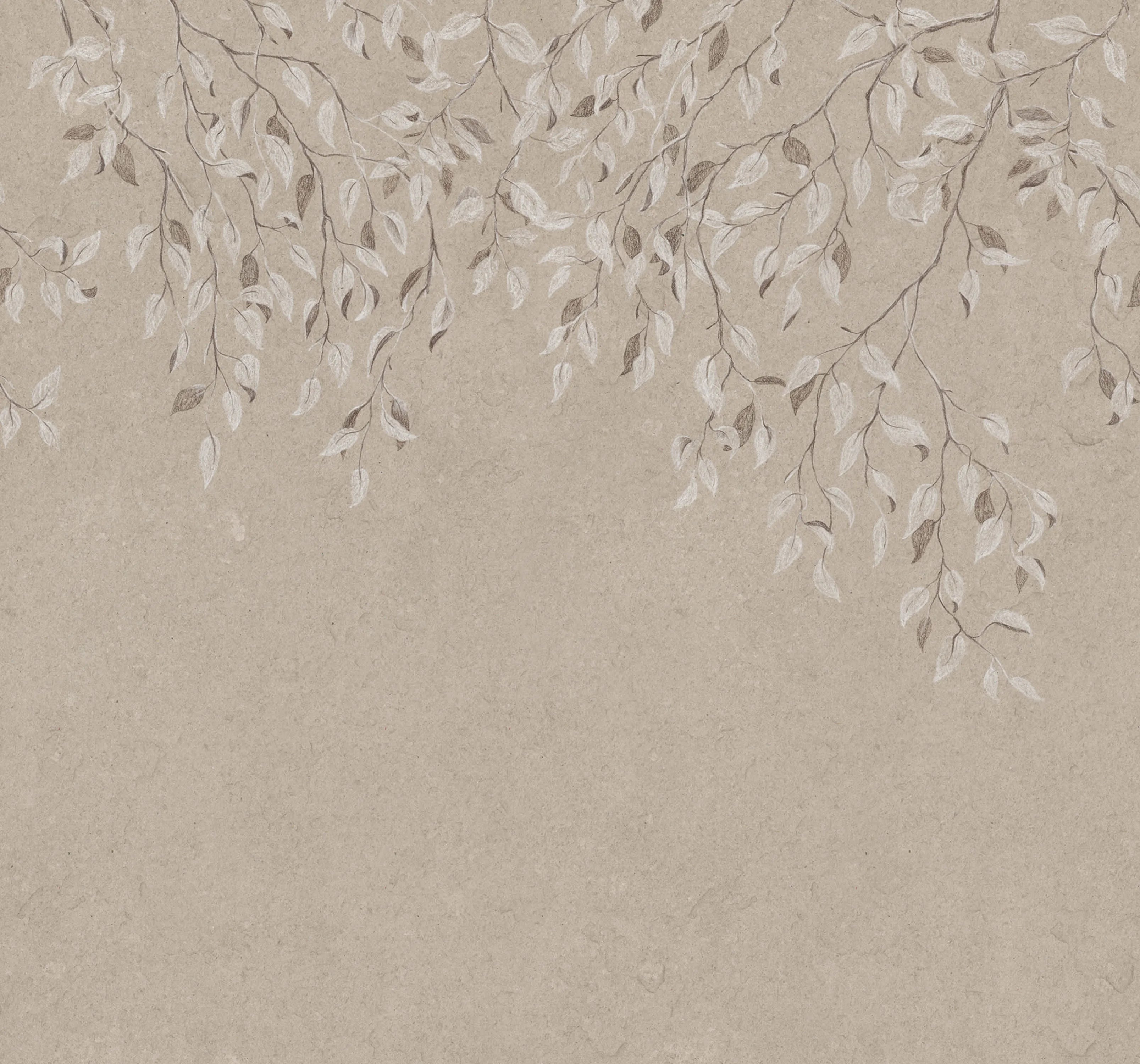 S10355 product