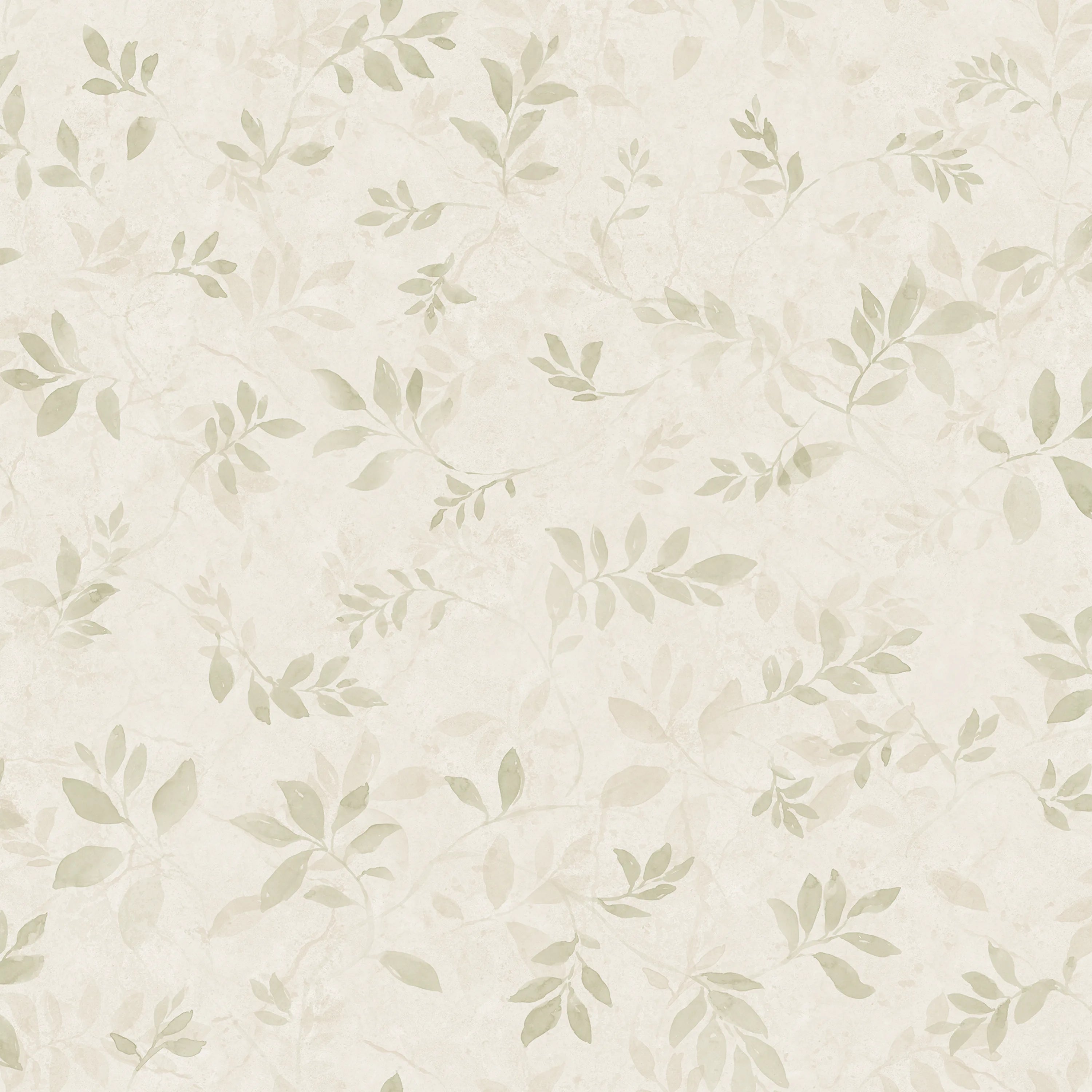 S10678 product