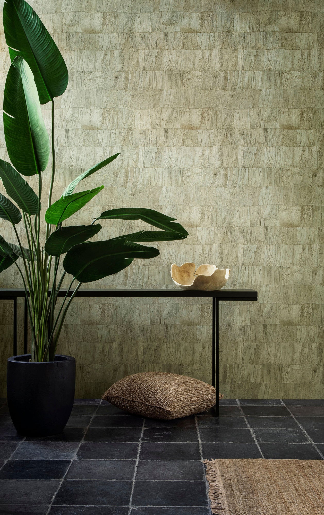 Selva_Capas_34304-fullscreen