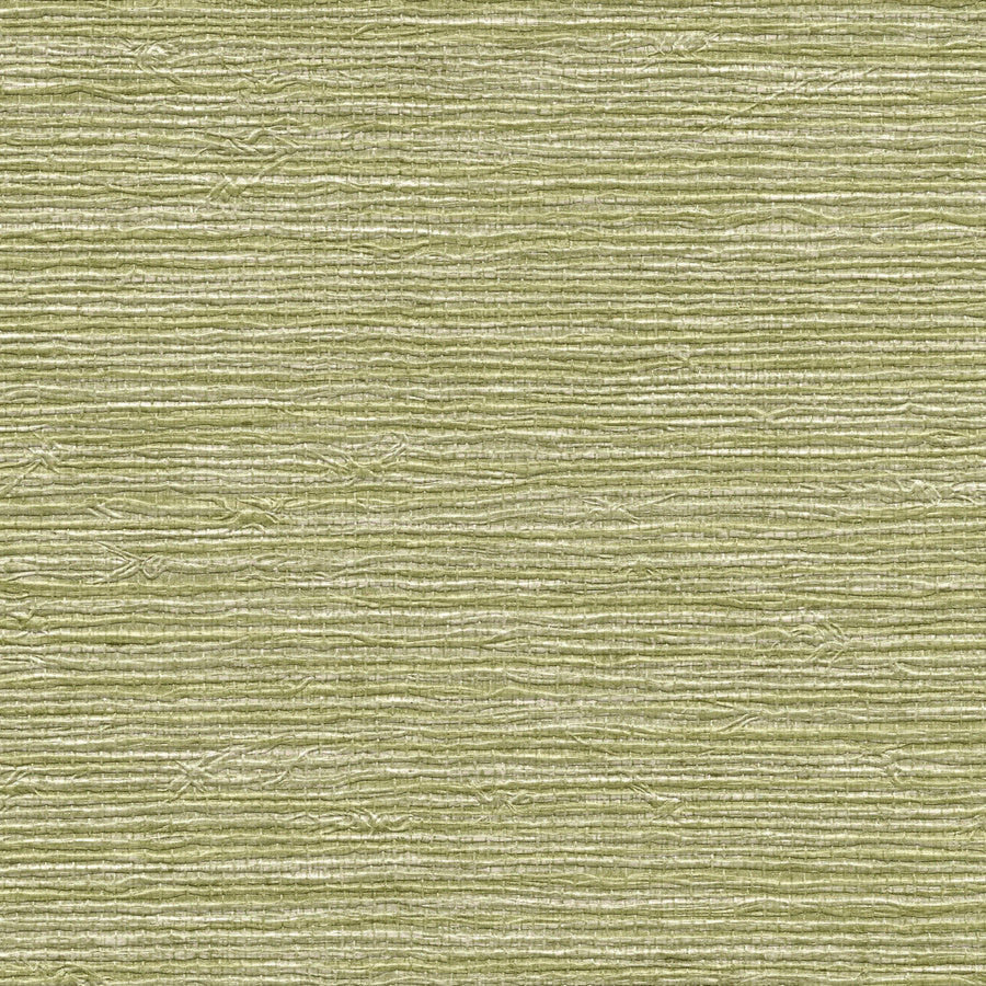PERFORMANCE VINYL VINYL ARROWROOT