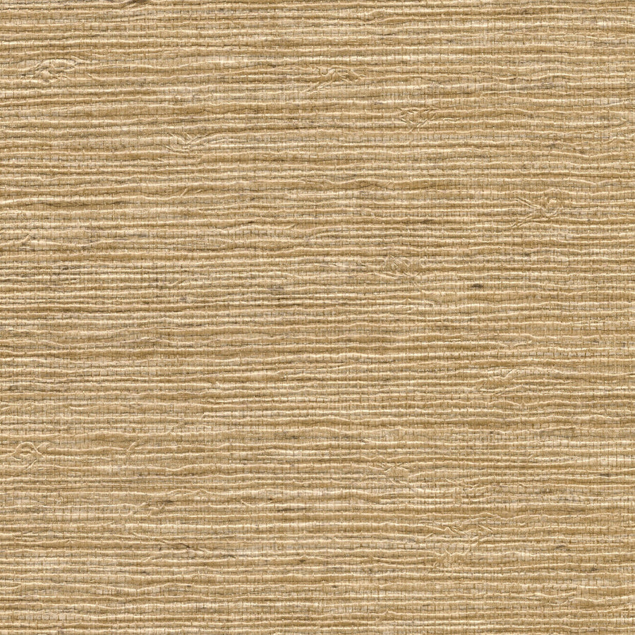PERFORMANCE VINYL VINYL ARROWROOT