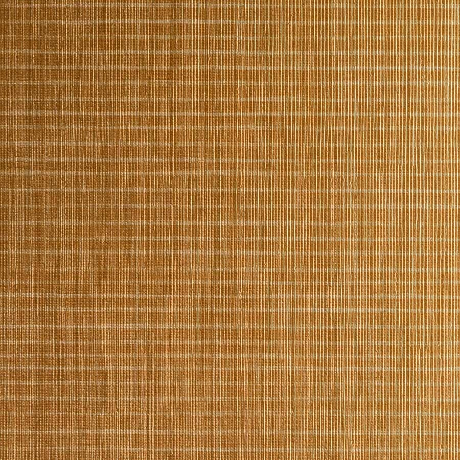 PERFORMANCE VINYL VINYL SHINE ON