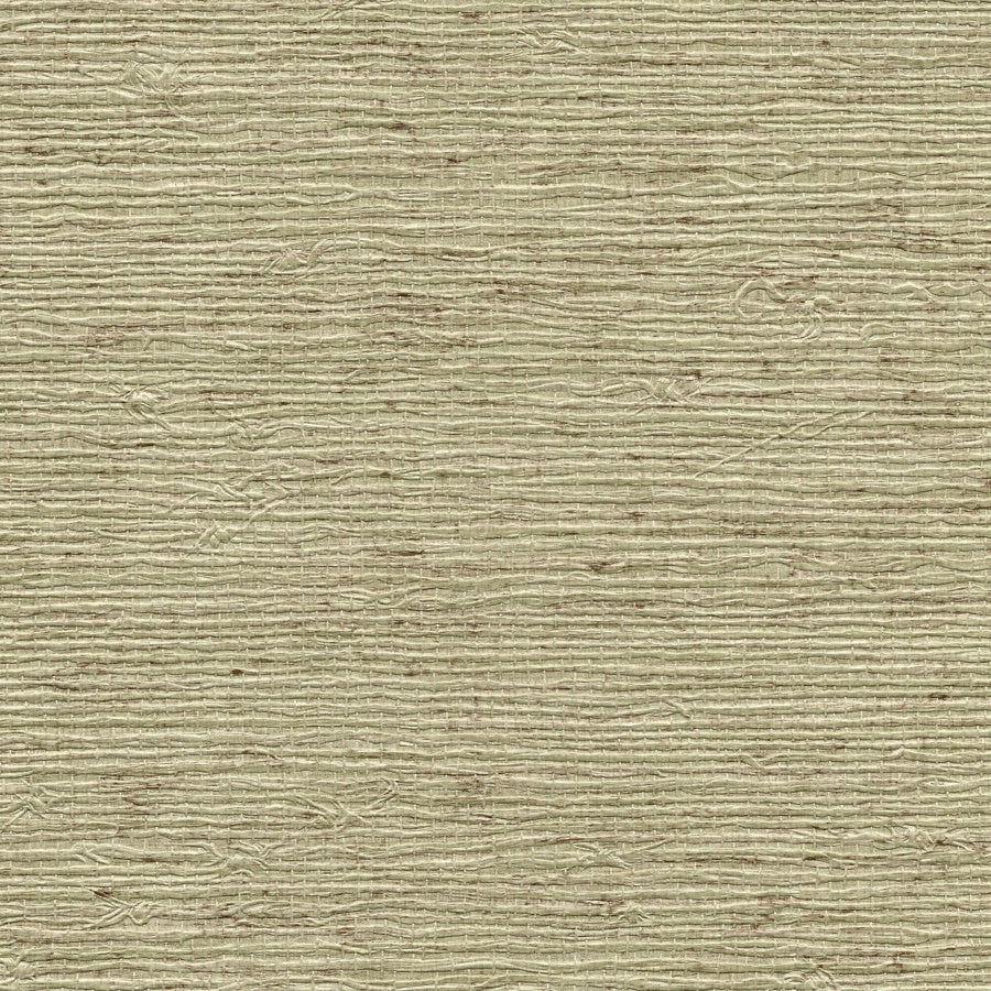 PERFORMANCE VINYL VINYL ARROWROOT
