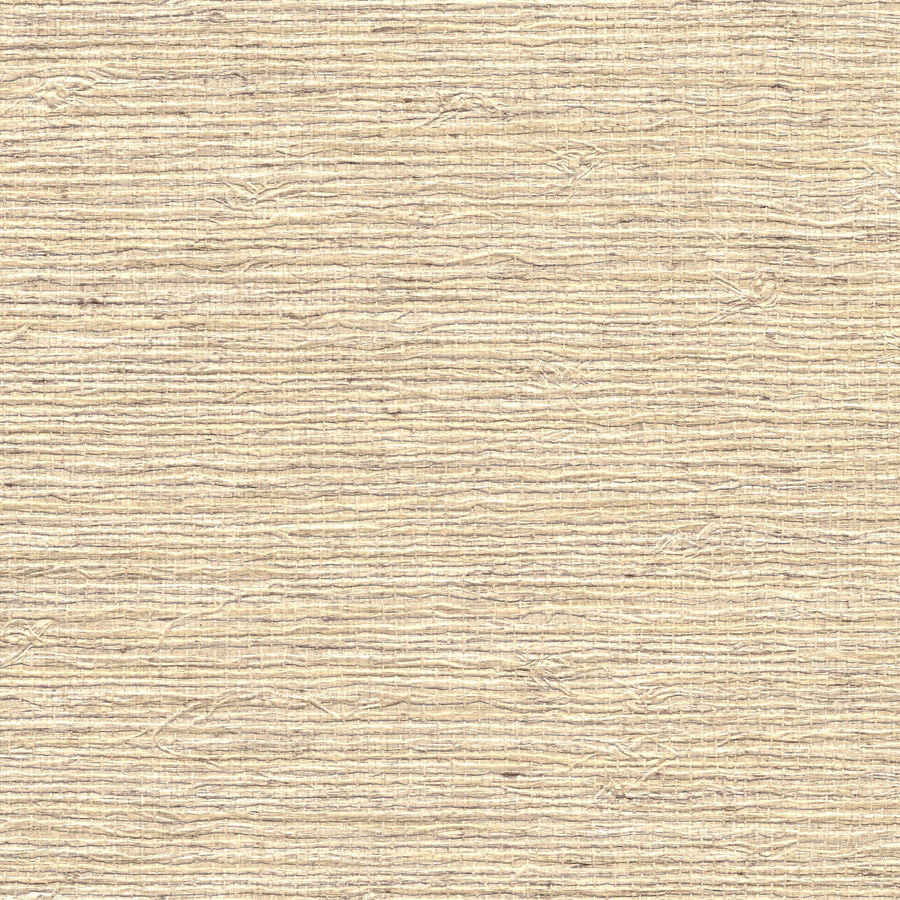 PERFORMANCE VINYL VINYL ARROWROOT