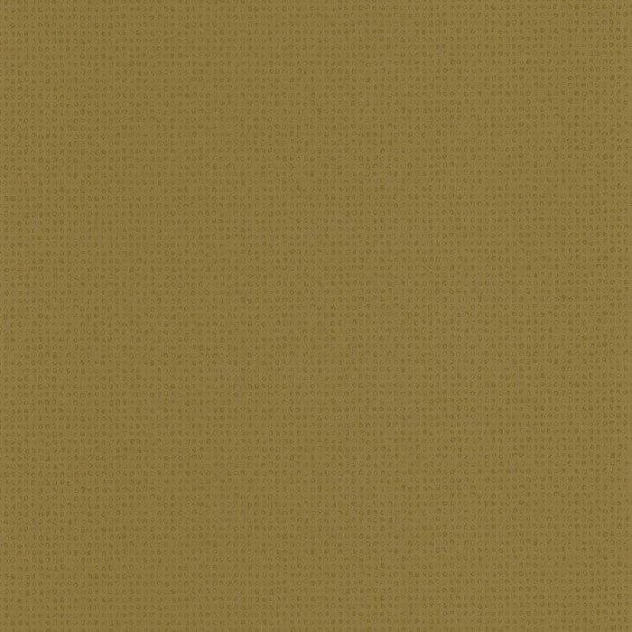 NANGARA NANGARA NAMADGI