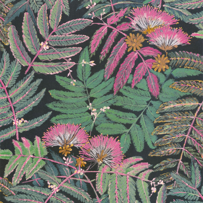 BOTANICA BOTANICA ALBIZIA