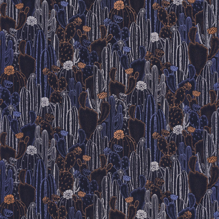 BOTANICA BOTANICA CACTACEAE