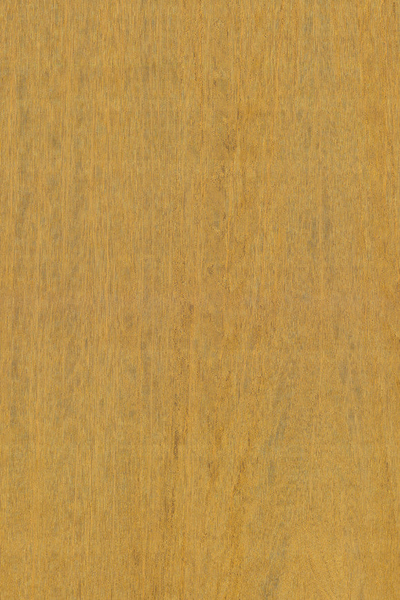 AMAZONE 2 WALLCOVERING FIERCE