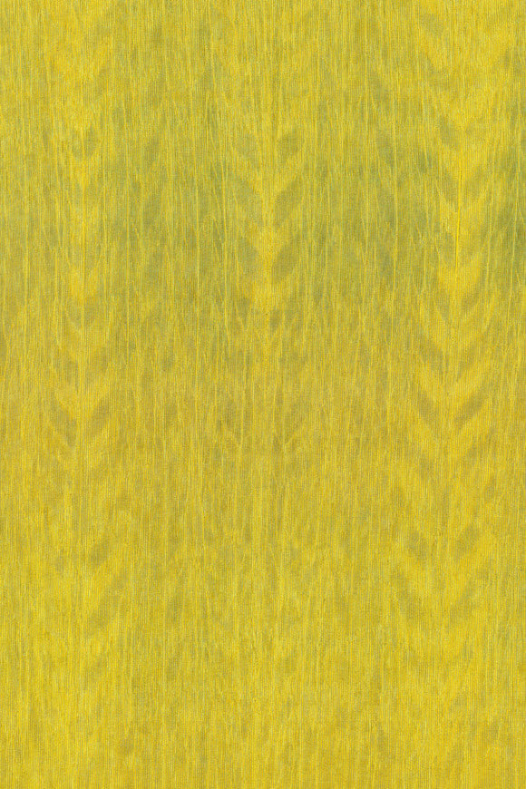 AMAZONE 2 WALLCOVERING FIERCE