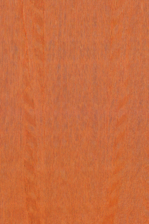 AMAZONE 2 WALLCOVERING FIERCE