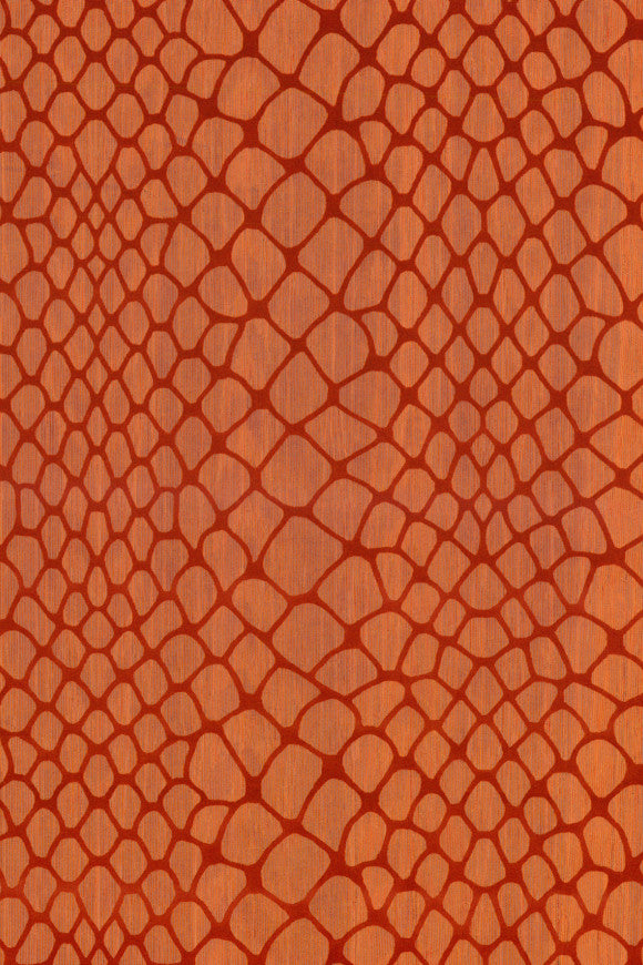 AMAZONE 2 WALLCOVERING MAZE