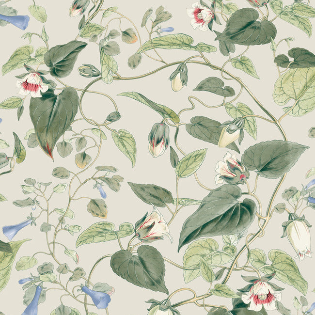 BLOOMS SECOND EDITION MOON FLOWER WALLPAPER