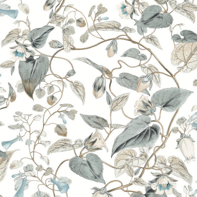 BLOOMS SECOND EDITION MOON FLOWER WALLPAPER