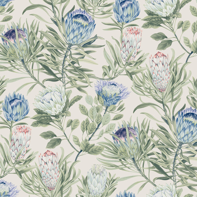BLOOMS SECOND EDITION PROTEA WALLPAPER