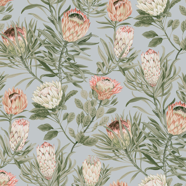 BLOOMS SECOND EDITION PROTEA WALLPAPER