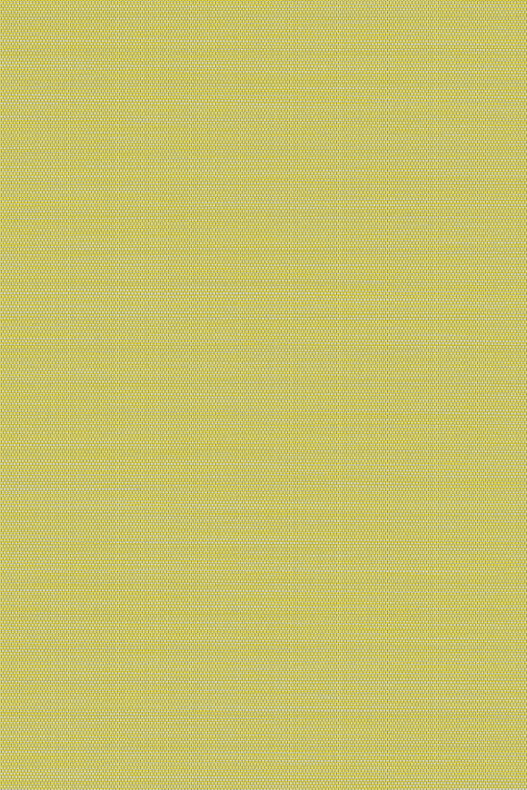 CANTALA WALLCOVERING CRAFT