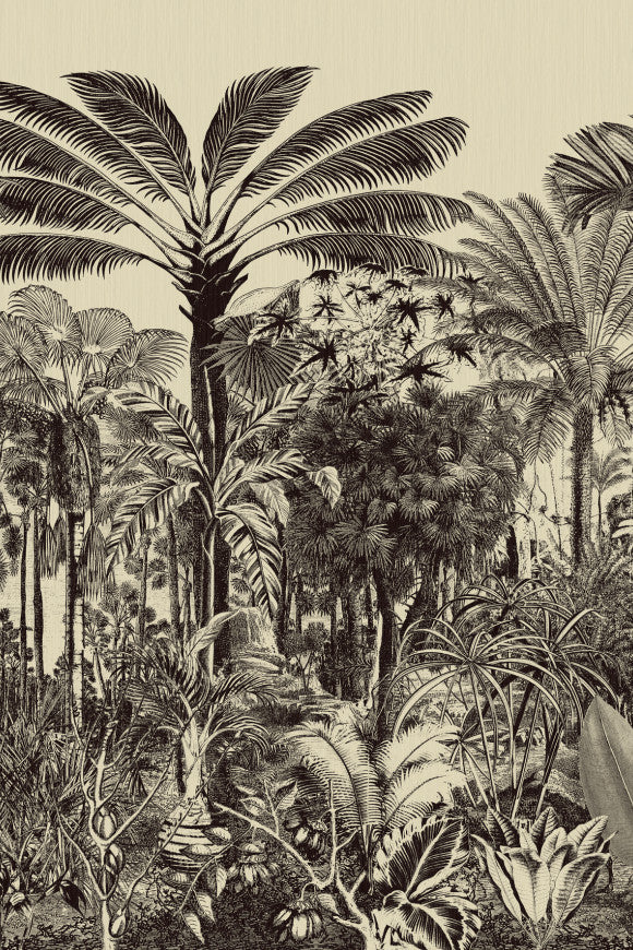 DECORS & PANORAMIQUES VALLE DE VINALES - PANORAMIQUE