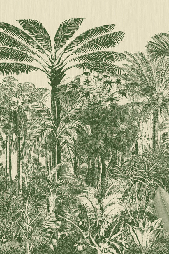 DECORS & PANORAMIQUES VALLE DE VINALES - PANORAMIQUE