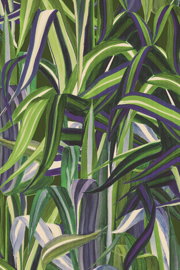 EXPEDITION WALLCOVERING JAVA