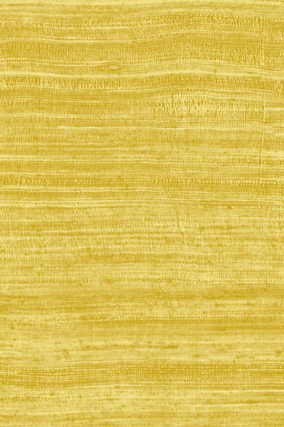 EXPEDITION WALLPAPER TASAR