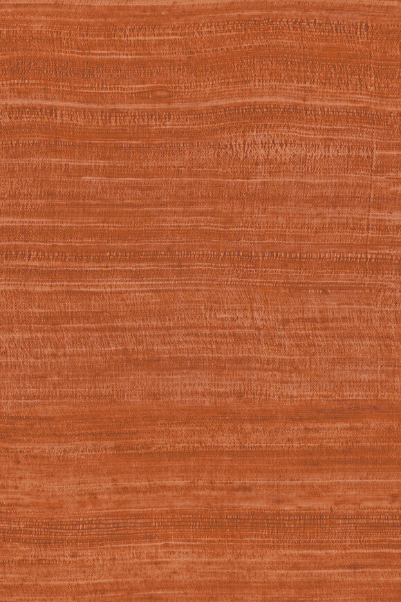 EXPEDITION WALLPAPER TASAR