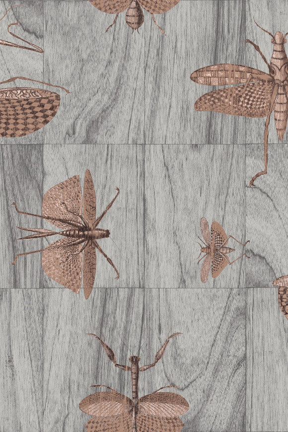 LIGNA WALLCOVERING WINGS