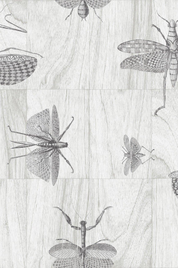 LIGNA WALLCOVERING WINGS