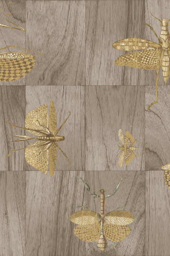 LIGNA WALLCOVERING WINGS