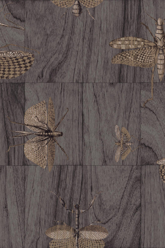 LIGNA WALLCOVERING WINGS