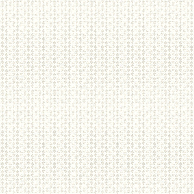 RIFLE PAPER CO. SECOND EDITION PETAL WALLPAPER
